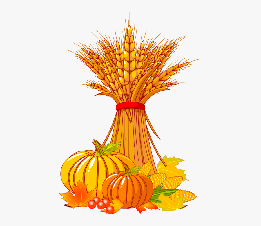 Forgetmenot Vegetables Publicat De - Fall Corn Stalk Clipart, Transparent Clipart