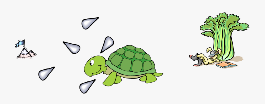 Turtle, Transparent Clipart