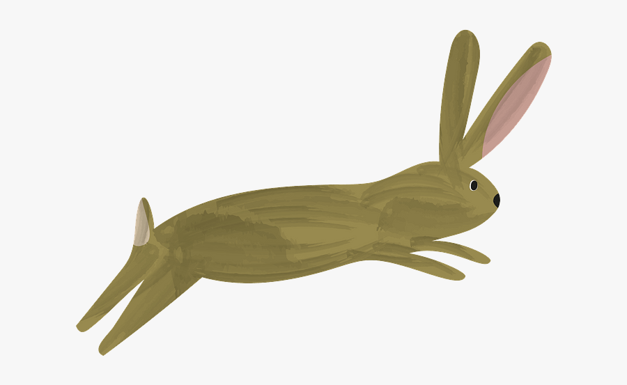 Insect, Transparent Clipart