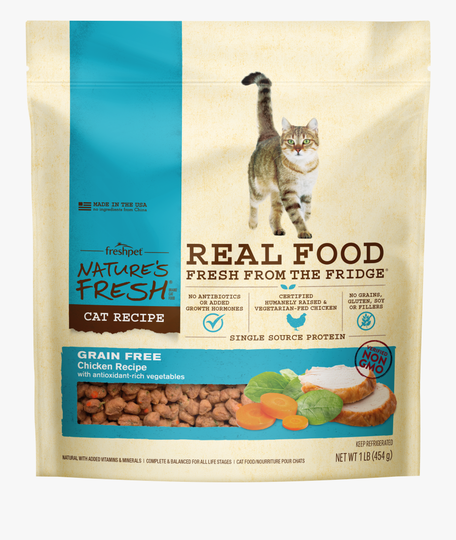 Domestic Short-haired Cat, Transparent Clipart