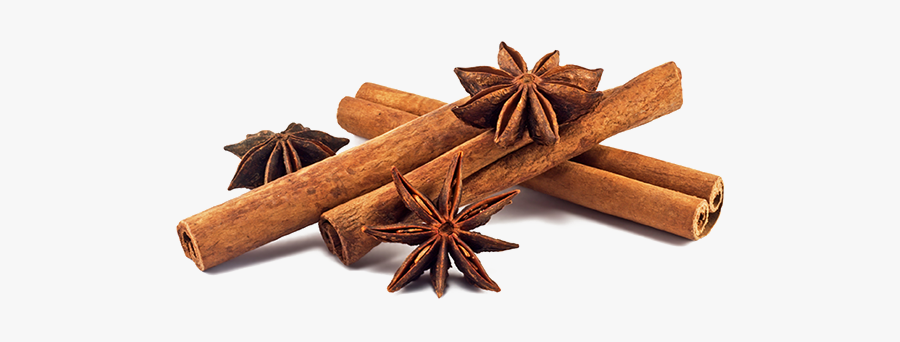 Star Anise Cinnamon Png, Transparent Clipart
