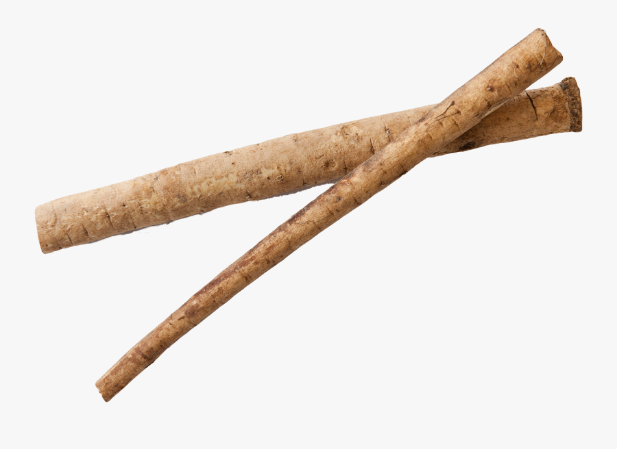 Cinnamon-stick - Burdock Root Png, Transparent Clipart