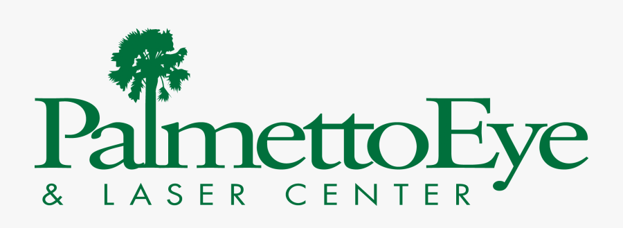Palmetto Eye And Laser Center Spartanburg Sc, Transparent Clipart