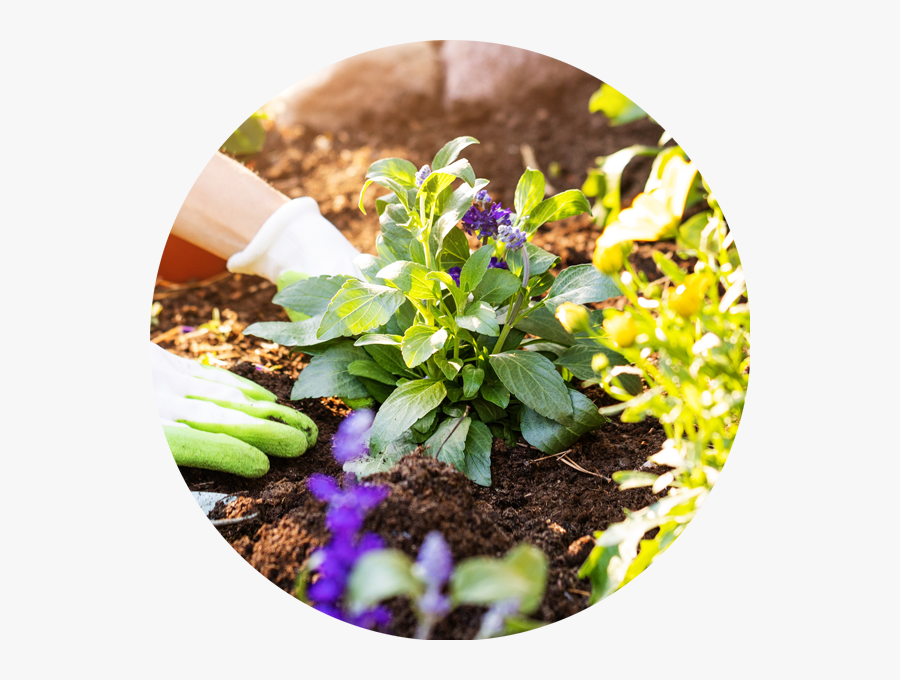 Transparent Hole In Ground Png - Planting Flowers, Transparent Clipart