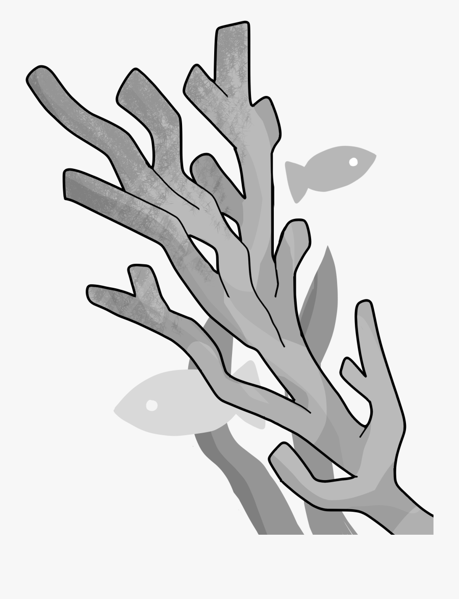 Hand, Transparent Clipart