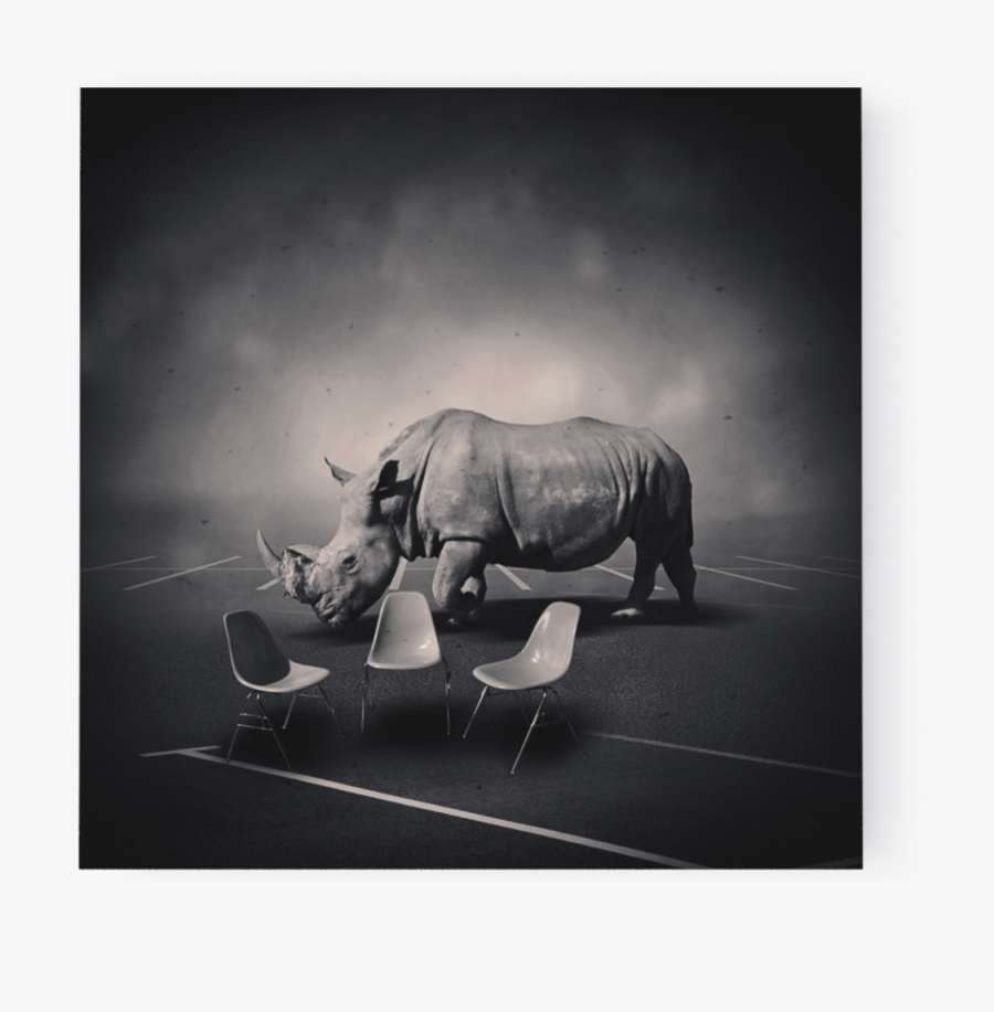 Transparent Rhinoceros Png, Transparent Clipart