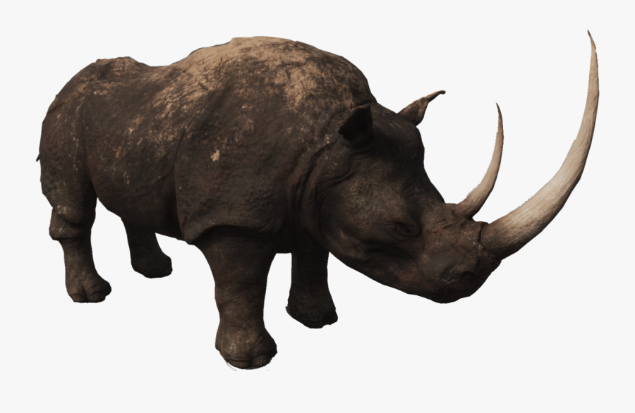 Rhino Png Photos - Rhinoceros, Transparent Clipart