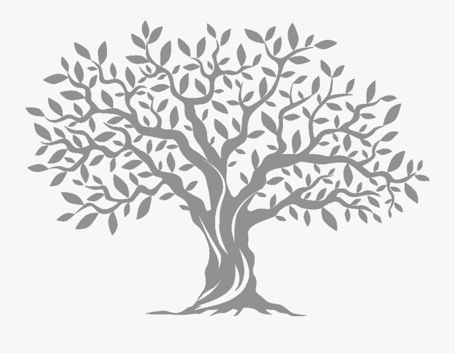 Olive Tree Computer Icons - Olive Tree Silhouette Png, Transparent Clipart