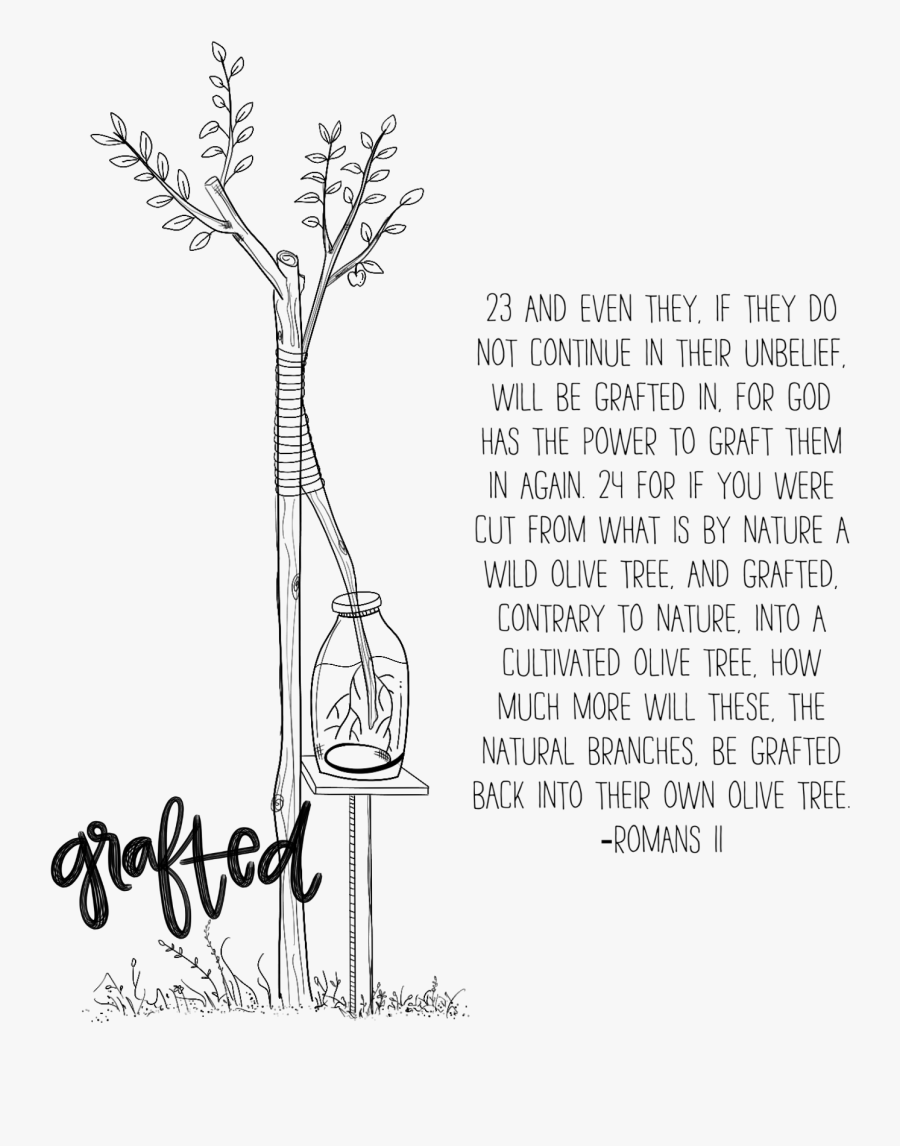 Wild Olive Tree Grafted In Cartoon , Png Download - Wild Olive Tree Grafted In Cartoon, Transparent Clipart