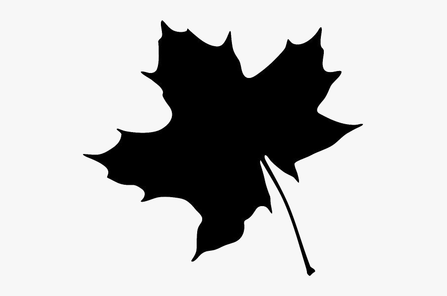 Winter Leaf Png Clipart Download - Transparent Background Fall Leaf Clipart, Transparent Clipart