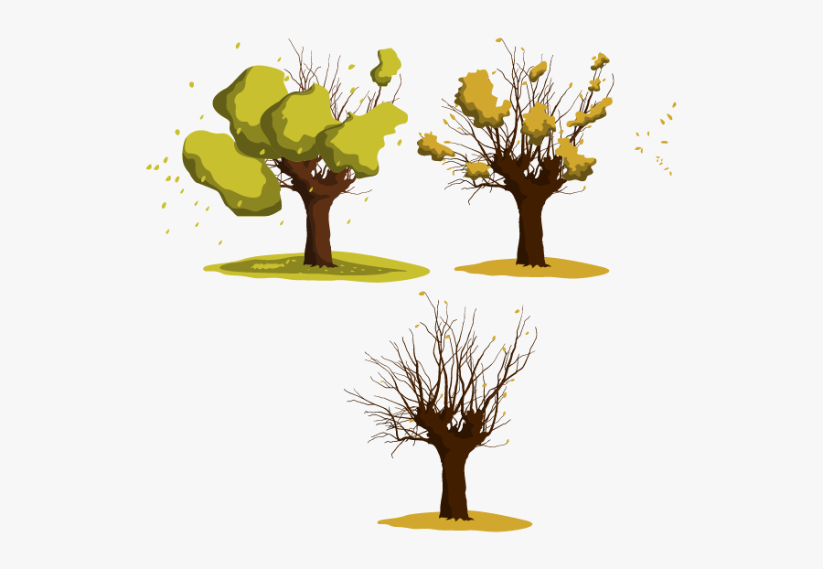 Wattles Tree Euclidean Vector - Portable Network Graphics, Transparent Clipart