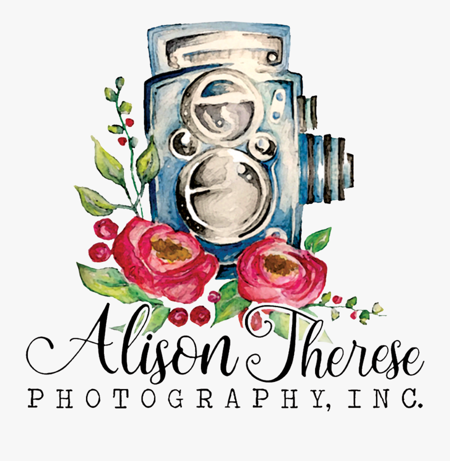 Graphic Design, Transparent Clipart