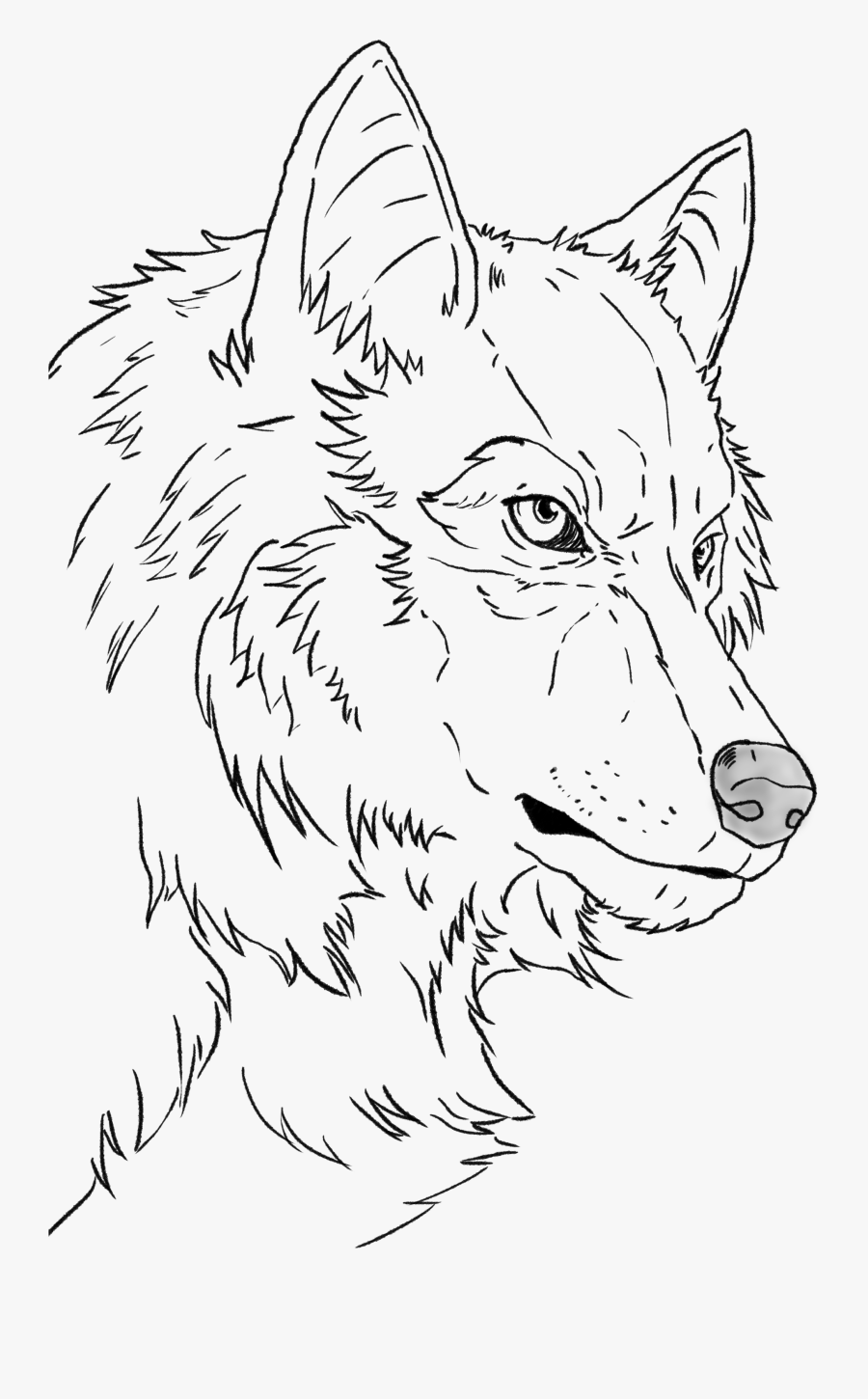 Line Art, Transparent Clipart