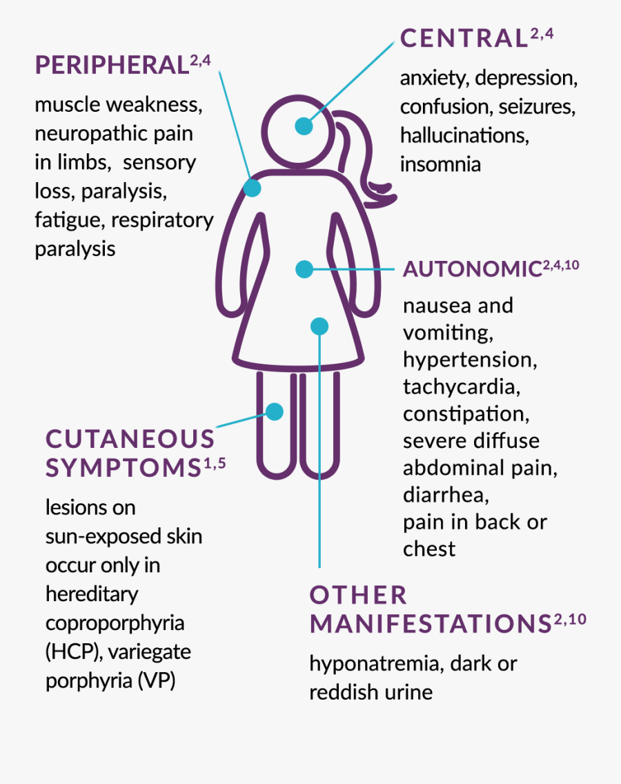Acute Hepatic Porphyria Symptoms - Illustration, Transparent Clipart