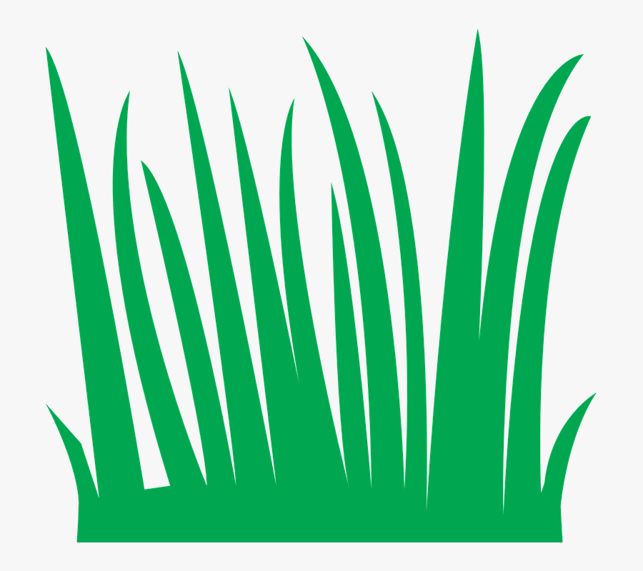 Cartoon Grass Clipart, Transparent Clipart