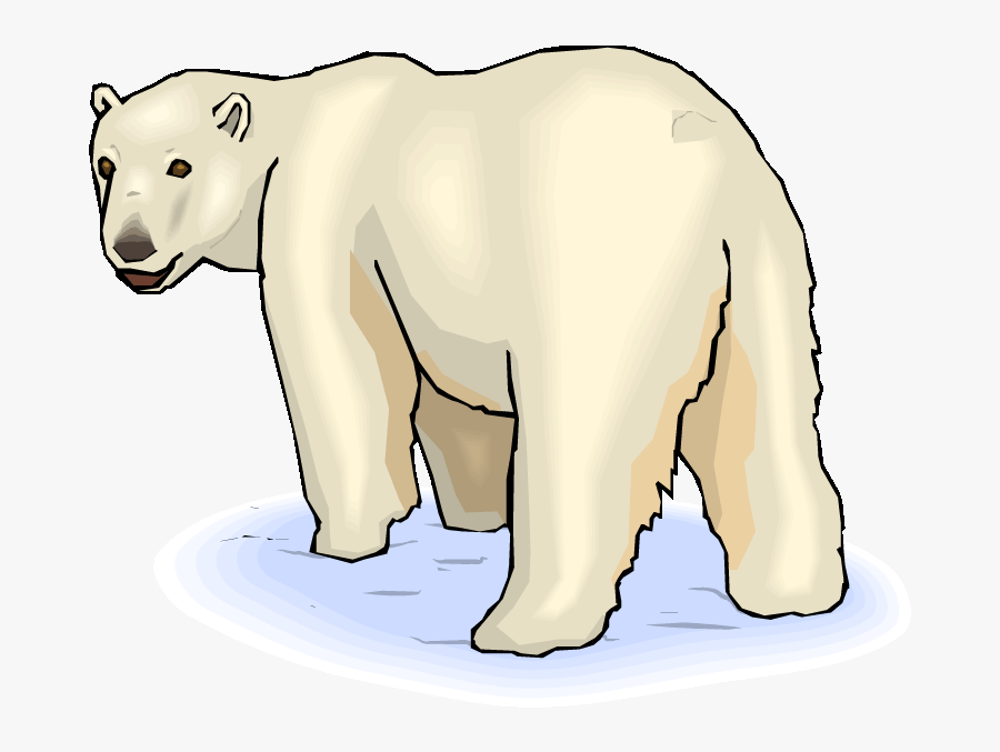 Pin Baby Polar Bear Clipart - Polar Bear, Transparent Clipart