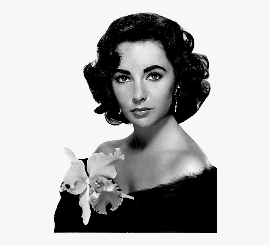 Elizabeth Taylor Photo - Most Beautiful Girl Ever Lived, Transparent Clipart