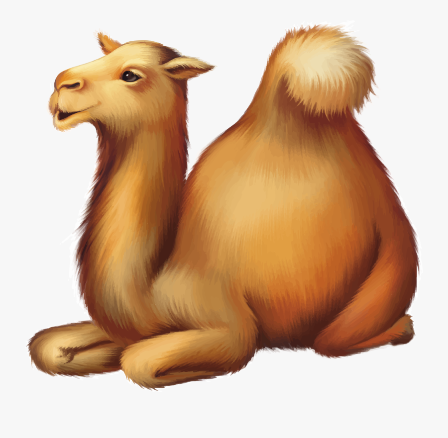 Transparent Camel Clipart Png - Camel Clipart, Transparent Clipart