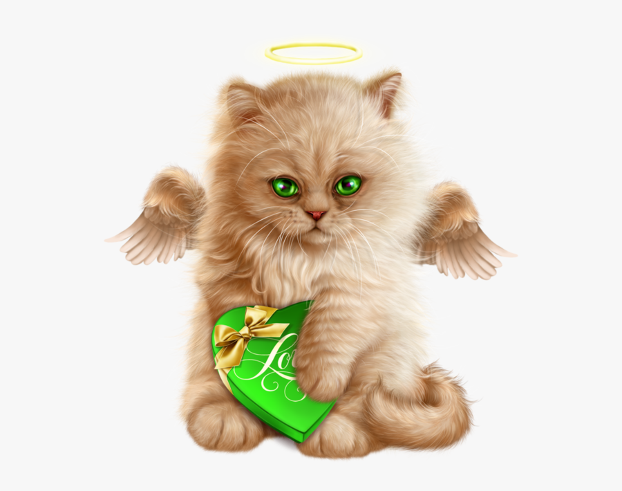 Cat, Transparent Clipart