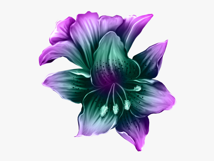 Clip Art Download Amaryllis Drawing Purple Lily Flower - Purple Lily Flower Png, Transparent Clipart