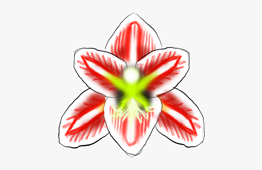Amaryllis Belladonna, Transparent Clipart