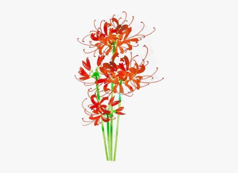 彼岸花 Freetoedit - Flores Del Infierno Dibujo, Transparent Clipart