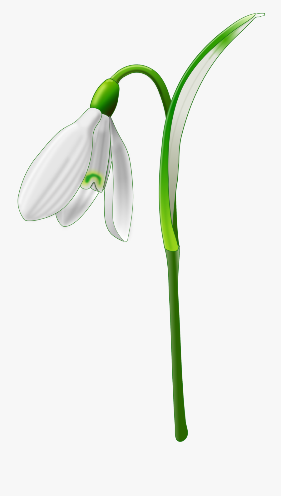Clip Art Snow Drop, Transparent Clipart