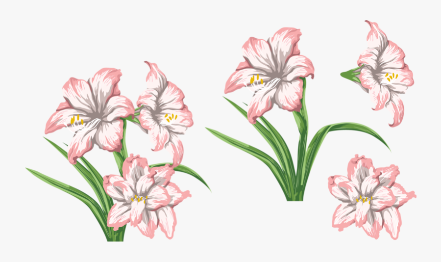 Transparent Tiger Lily Png - Lily, Transparent Clipart