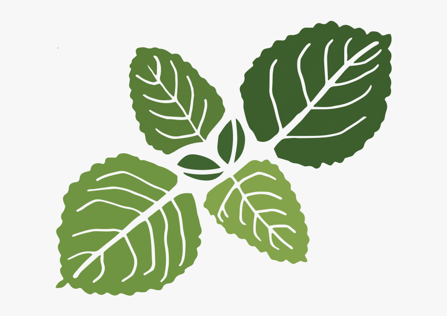 Oregano Leaves Clipart Png, Transparent Clipart