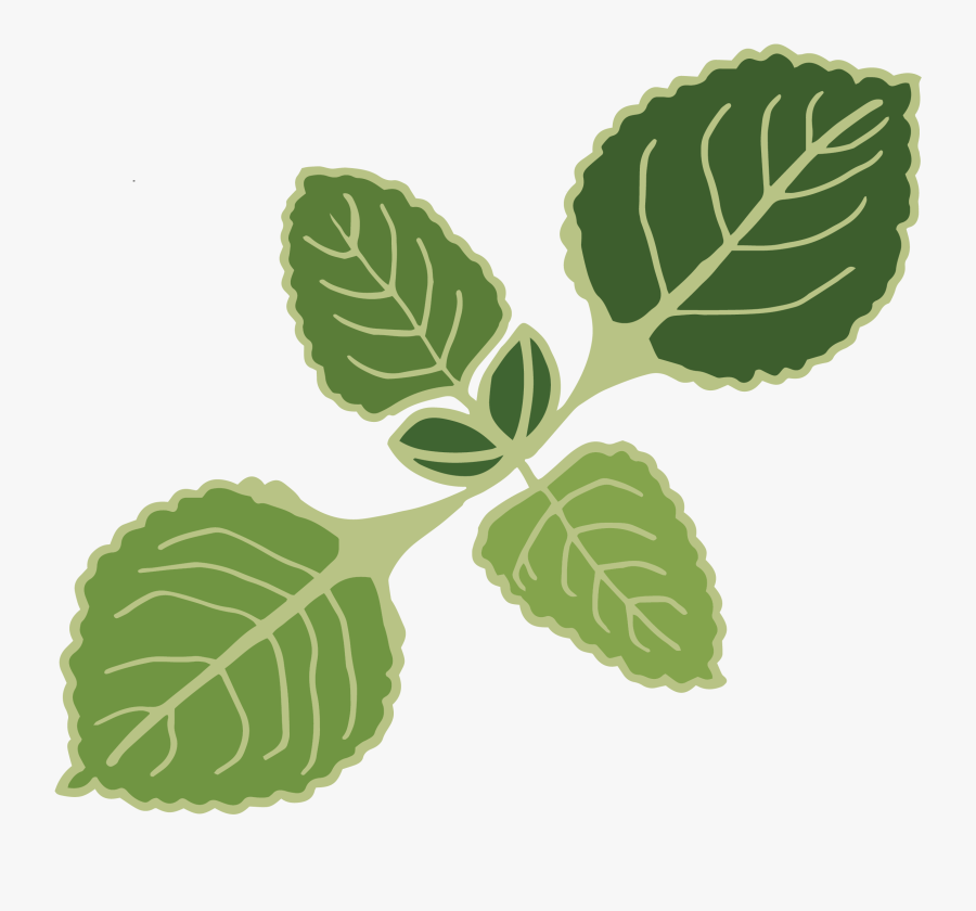Oregano Leaves Clipart Png, Transparent Clipart