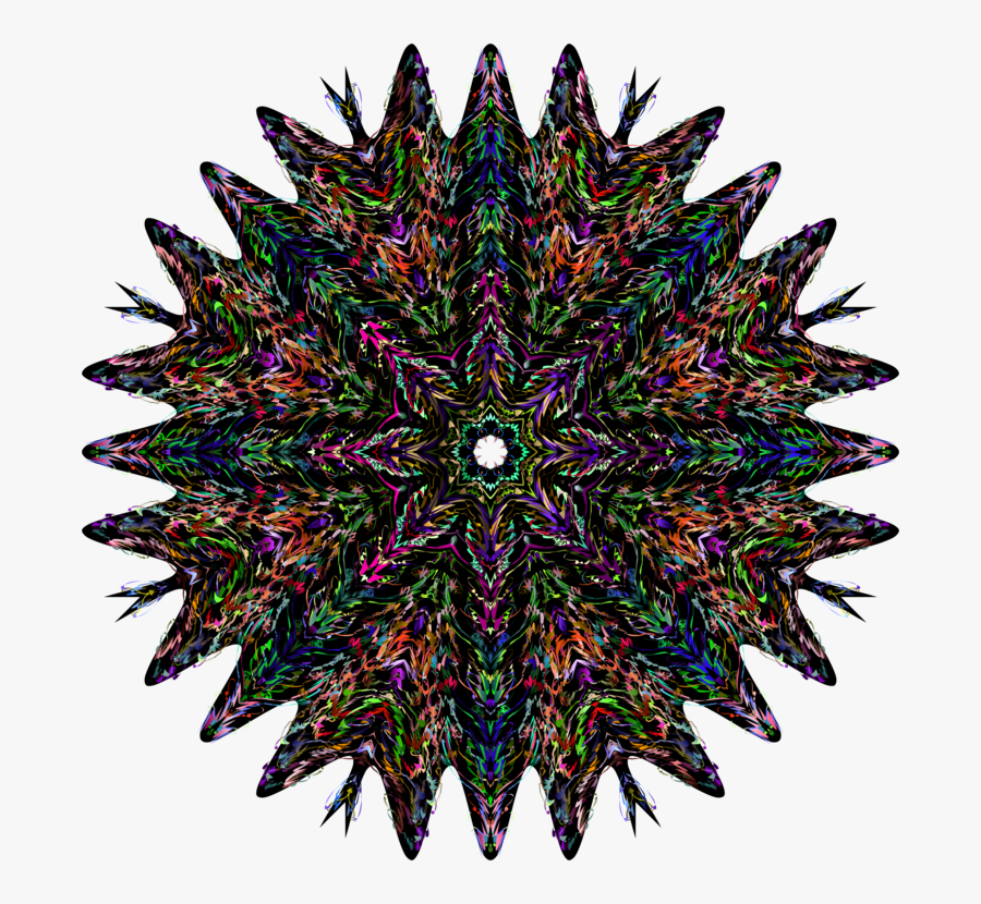 Plant,art,symmetry, Transparent Clipart