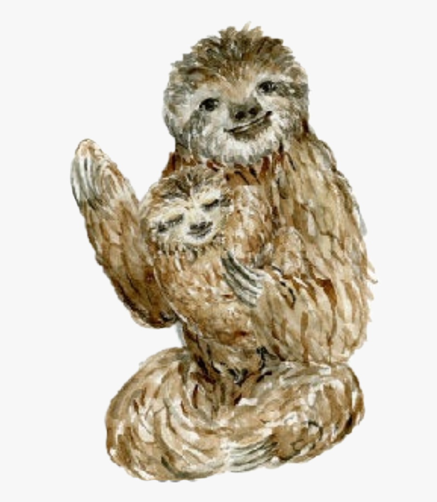 #watercolor #sloth #sloths #baby #mother #father #mothersday - Punxsutawney Phil, Transparent Clipart