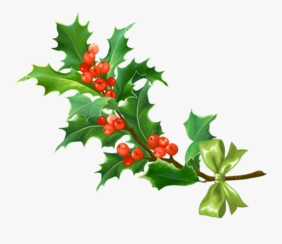 Currant, Transparent Clipart