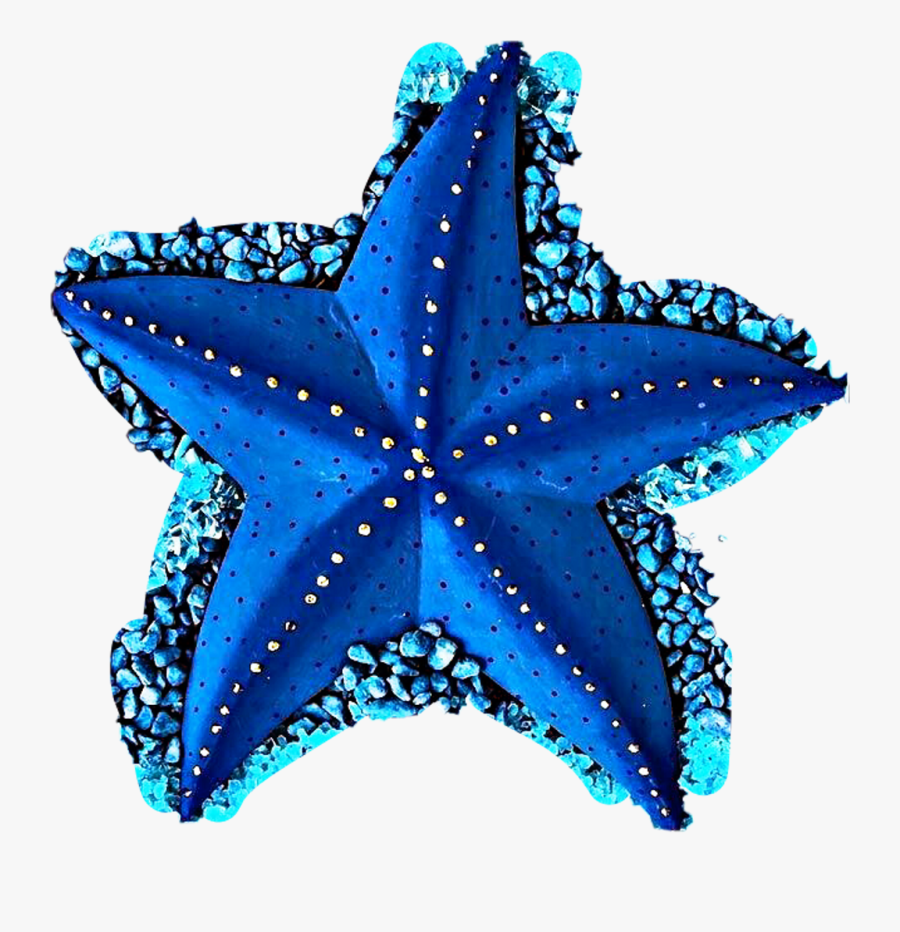 Different Shades Of Blue Clipart , Png Download - Blue Starfish, Transparent Clipart
