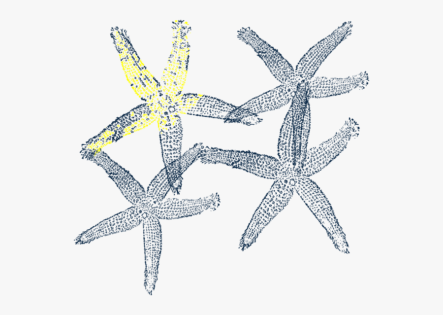 Fish Clip Art, Transparent Clipart