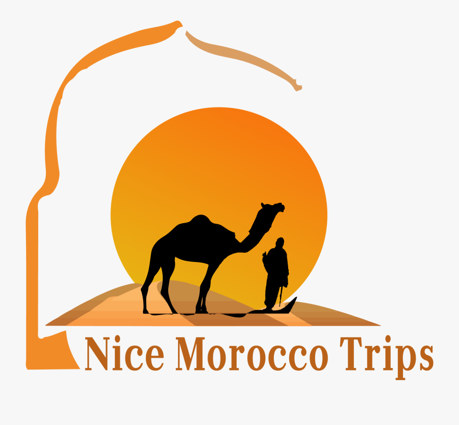Submit Your Newsletter - Arabian Camel, Transparent Clipart