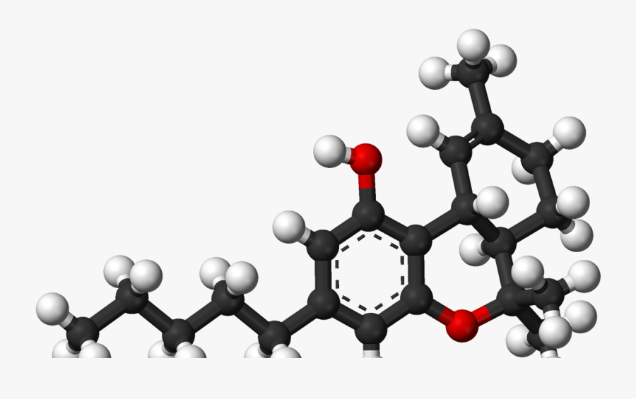 Structure And Iupac Name Of Salicylic Acid Clipart - Tetrachlorobenzene Isomers, Transparent Clipart