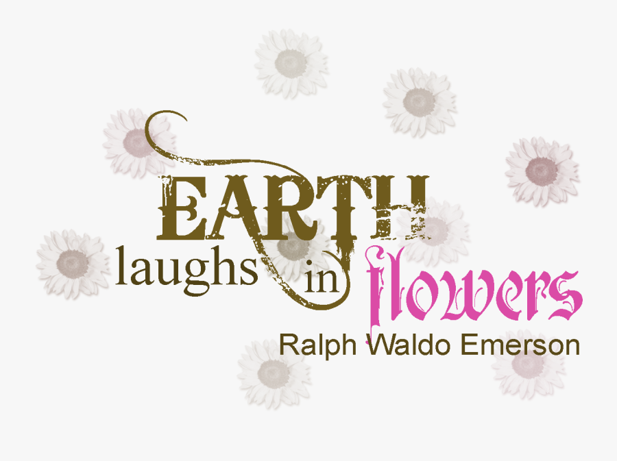 Calligraphy, Transparent Clipart