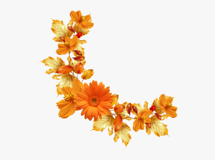 Cut Flower,fashion Accessory,flowering Plant,clip Art,dendrobium - Orange Flowers Png, Transparent Clipart