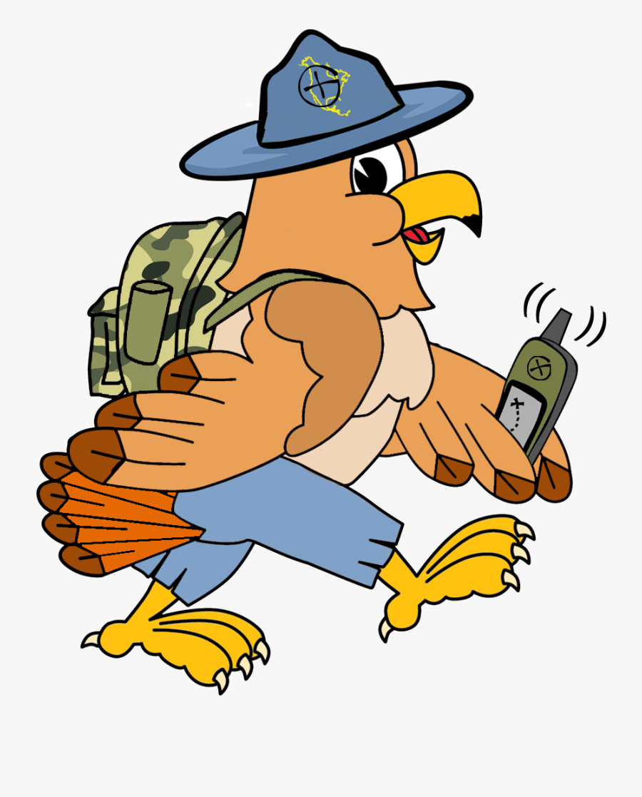 Hank The Hawk - Eagle Cartoon, Transparent Clipart