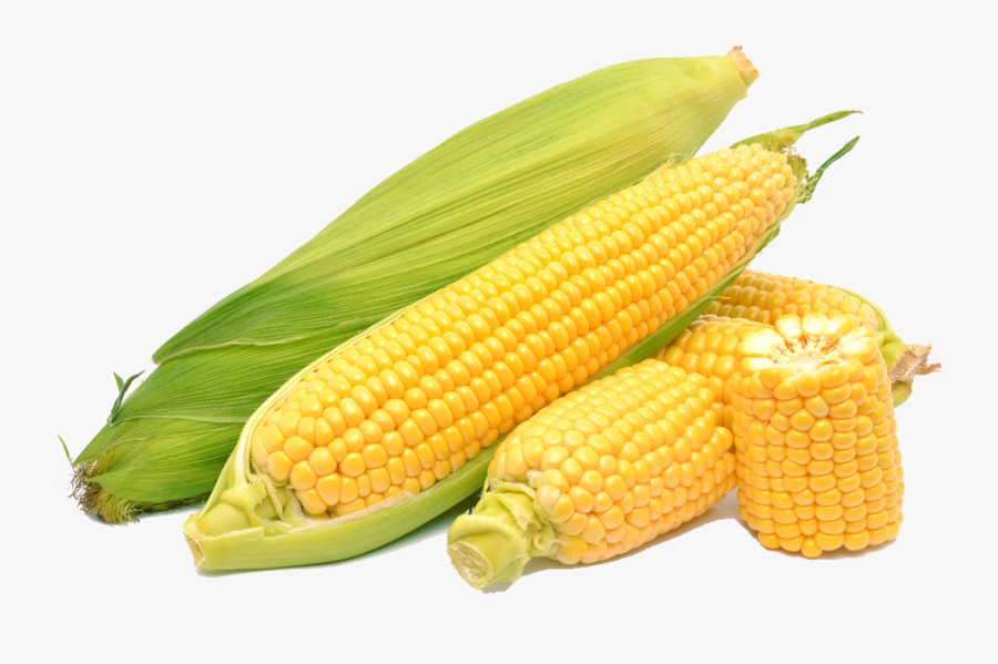 Clip Art Maize Sweet - Sweet Corn Png, Transparent Clipart