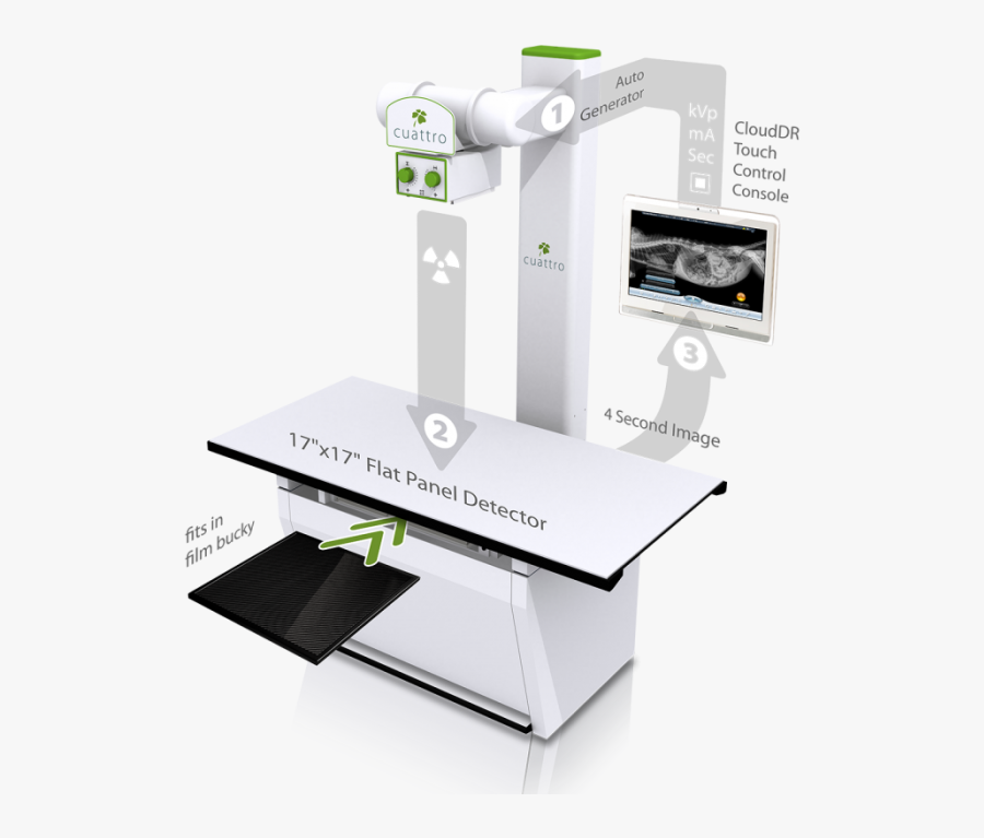 Coffee Table, Transparent Clipart