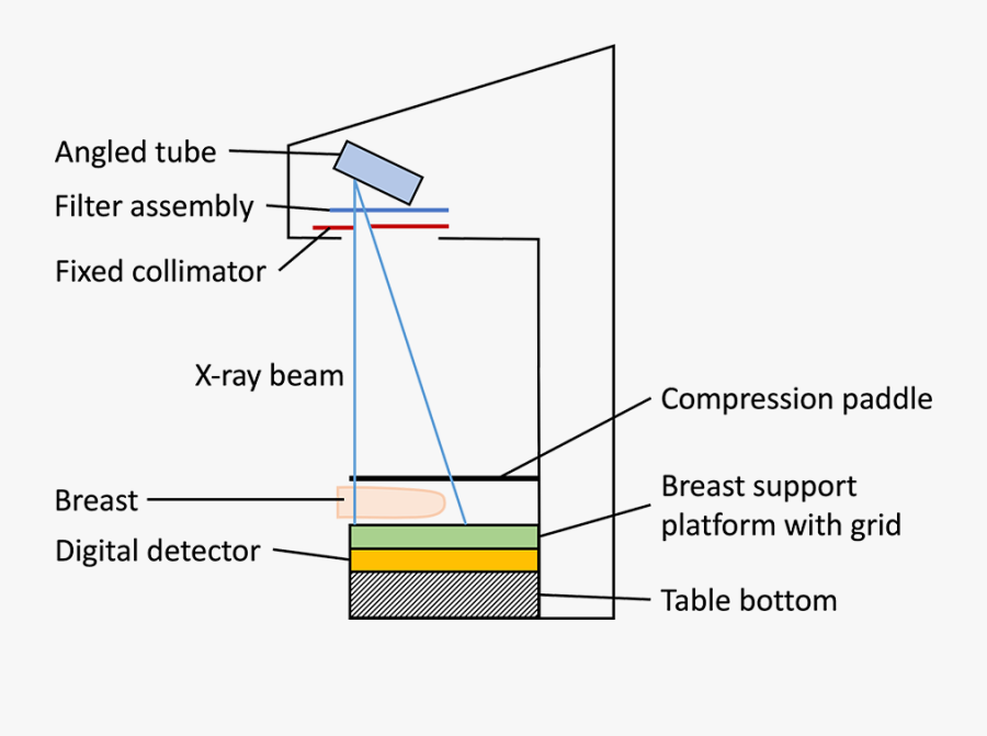 Diagram, Transparent Clipart