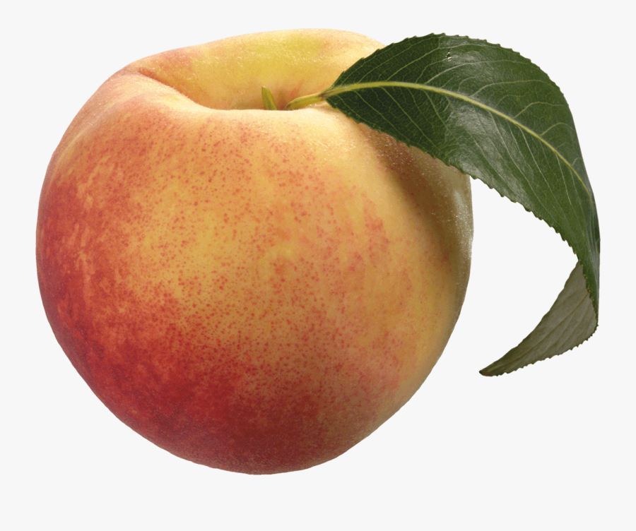 Clip Art Peach Portable Network Graphics Transparency - Peach Transparent, Transparent Clipart