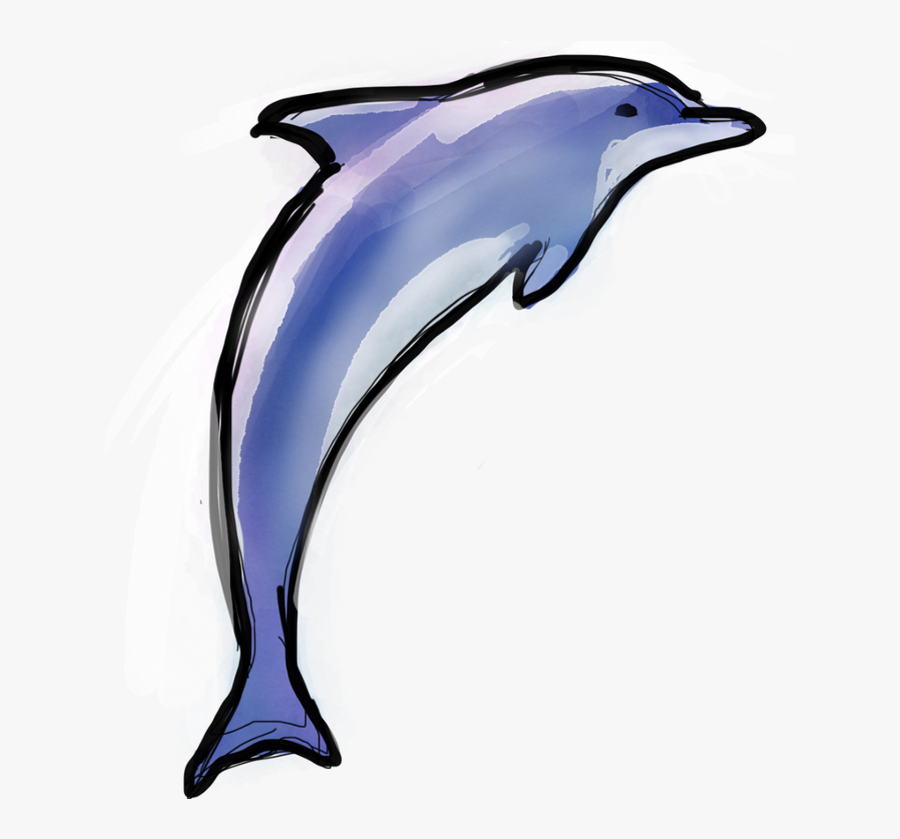 Scrub Jay Clipart , Png Download - Common Bottlenose Dolphin, Transparent Clipart