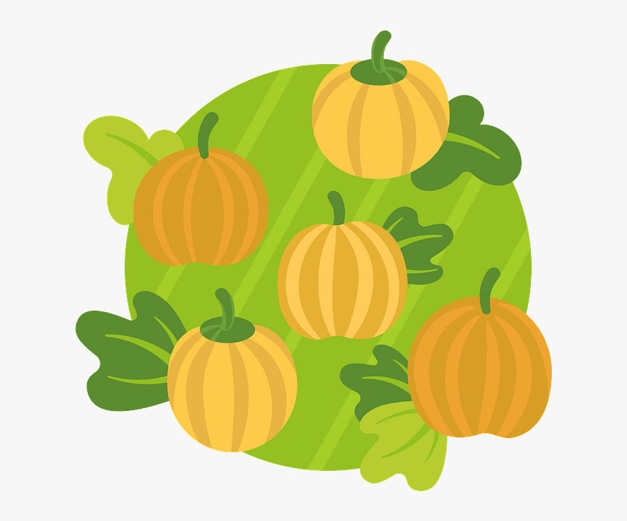 Pumpkin, Transparent Clipart