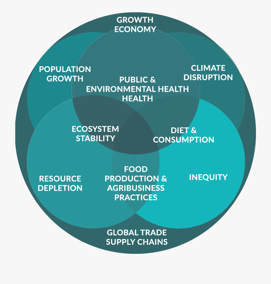 Circle, Transparent Clipart