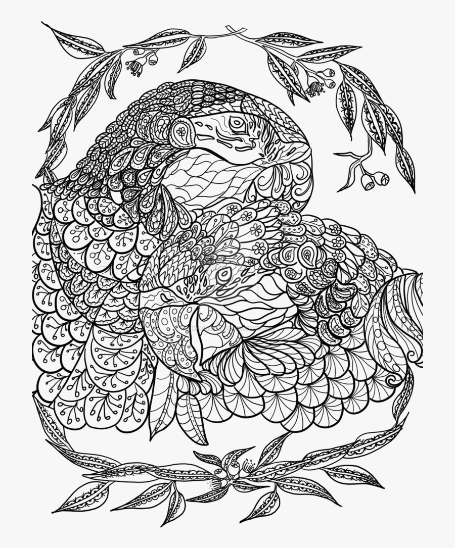 Australia Drawing Book And Page 1 Of Australian Birds - Colouring Books For Adults Australia, Transparent Clipart
