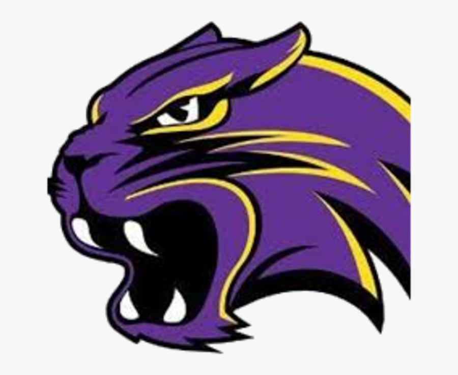 Purple Clipart Wildcat - Waconia Wildcats Football Logo, Transparent Clipart