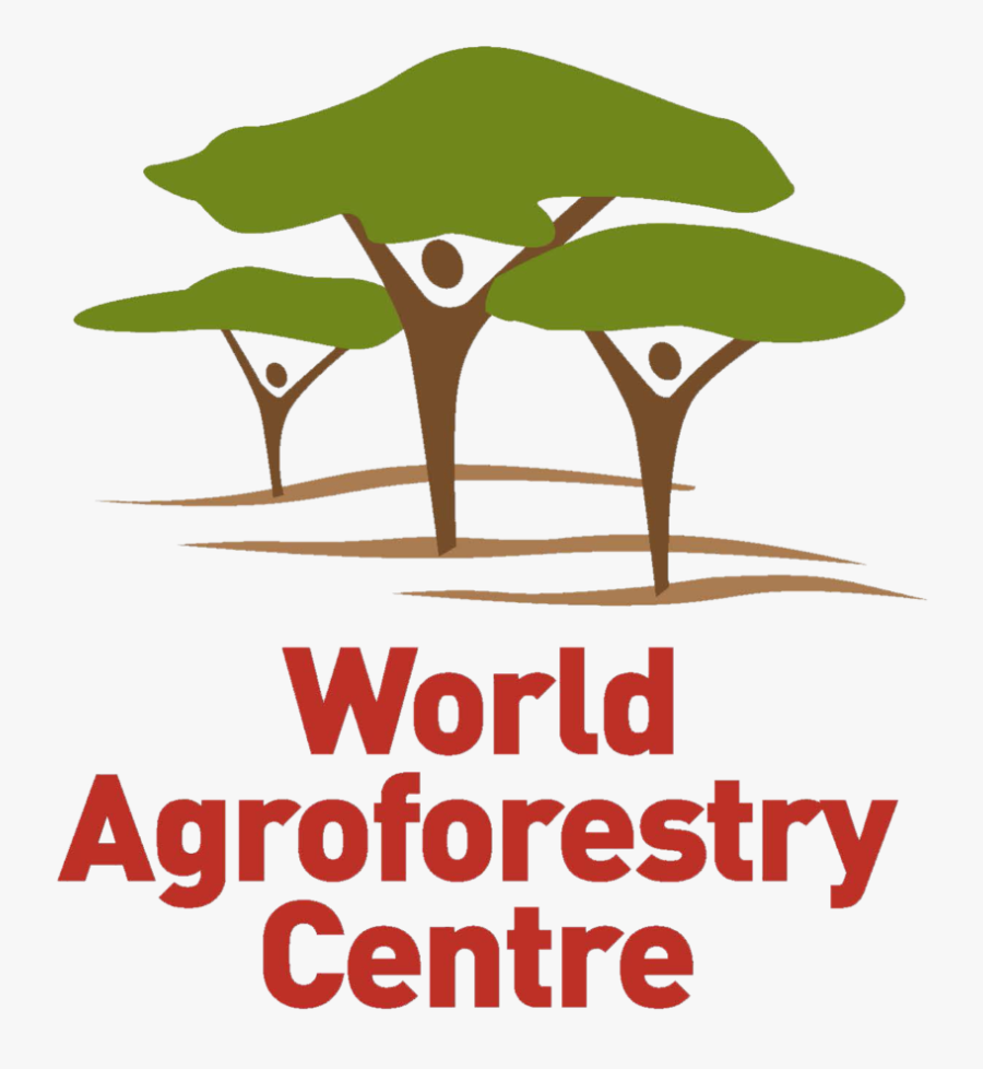 World Agroforestry Centre Logo, Transparent Clipart